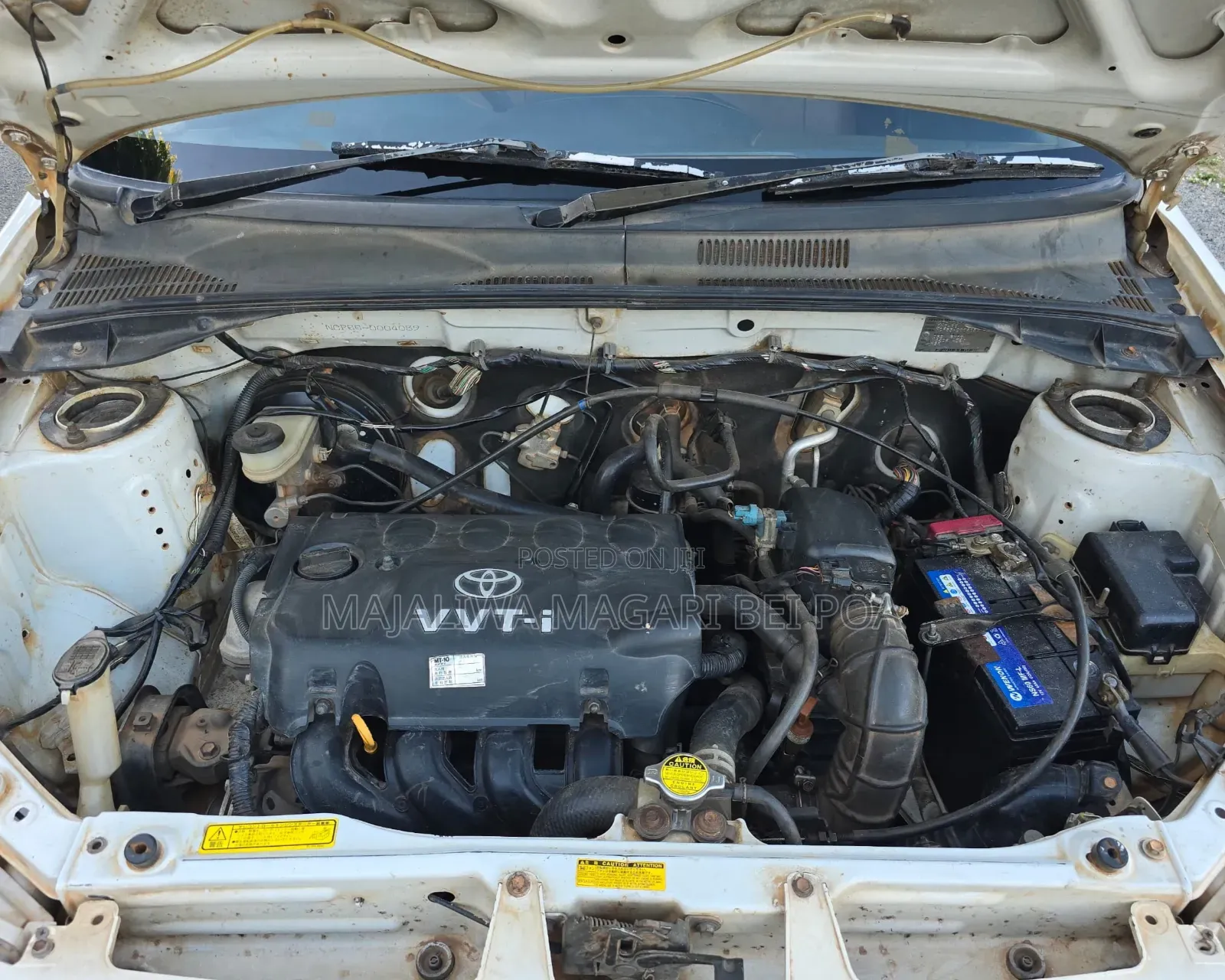 Toyota Succeed 2010 White