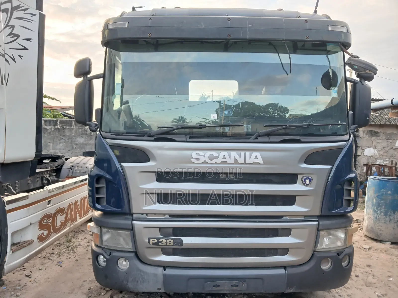 Scania P380 Horse