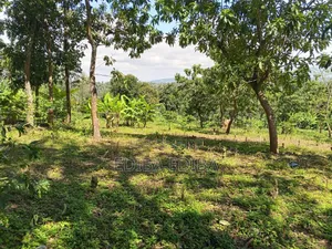 15 Acres Titled Plot for Sale in Arusha-Moshi Road