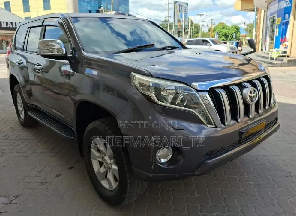 Toyota Land Cruiser Prado 2010 Gray