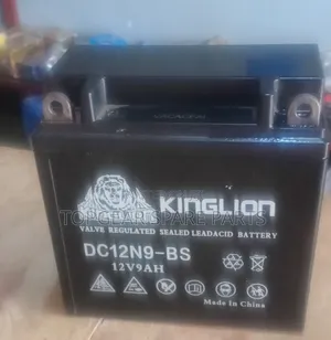Battery-Kinglion