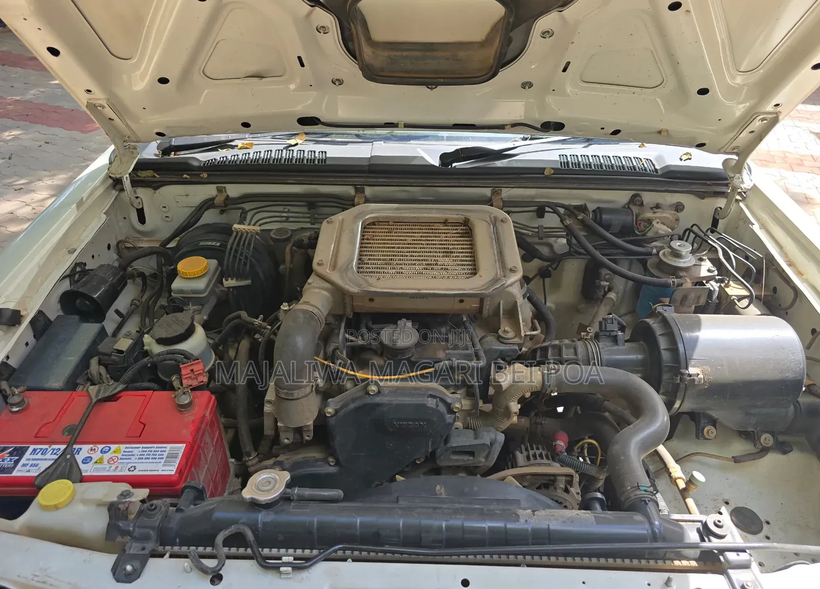 Nissan Hardbody 2011 White