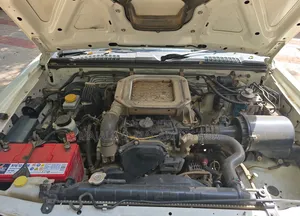 Nissan Hardbody 2011 White