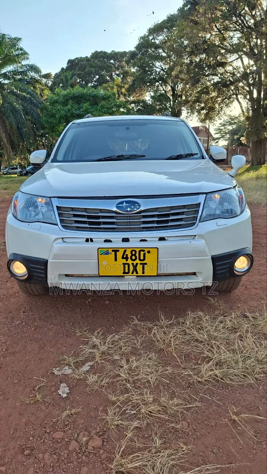 Subaru Forester 2009 Pearl
