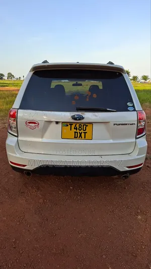 Subaru Forester 2009 Pearl