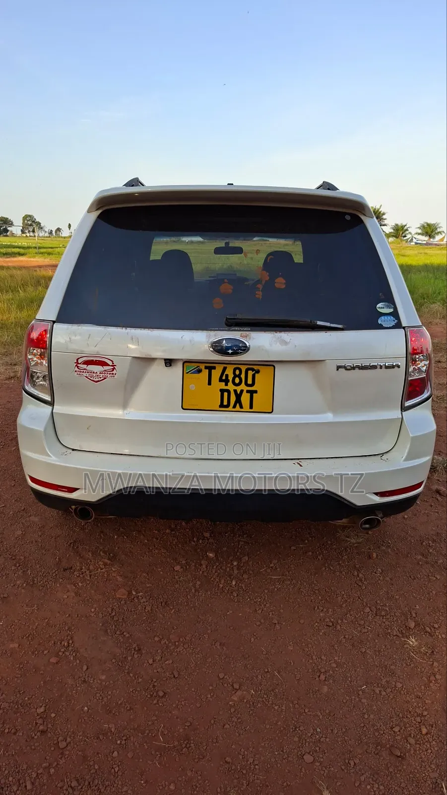 Subaru Forester 2009 Pearl