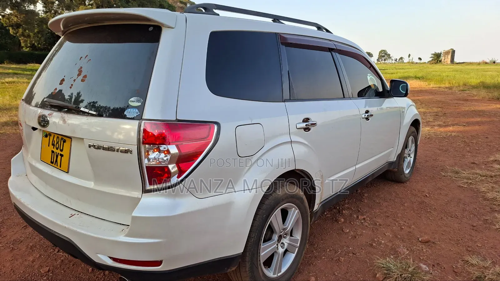 Subaru Forester 2009 Pearl