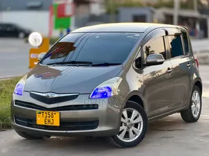 Toyota Ractis 2008 Gray