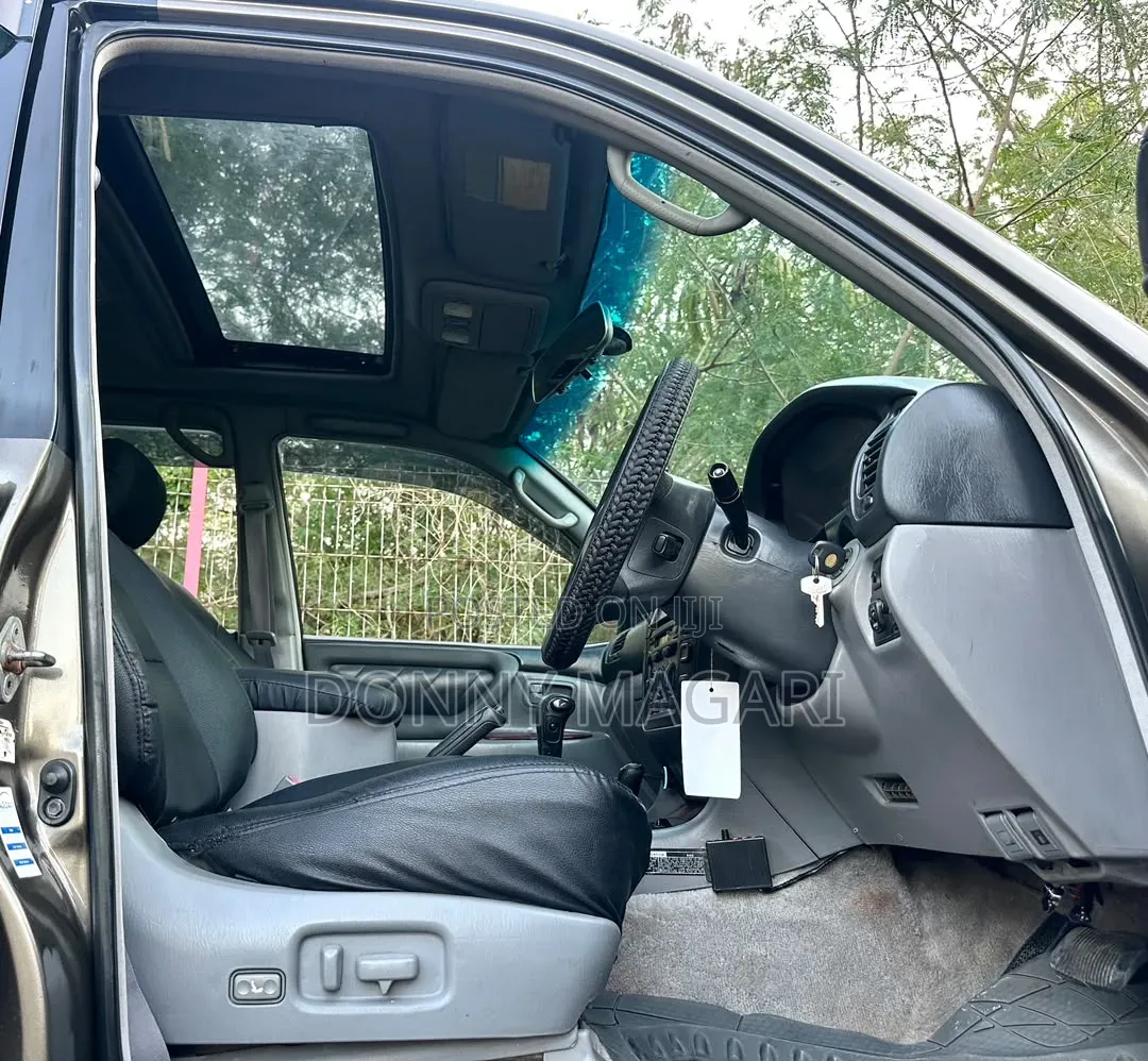 Toyota Land Cruiser 2001 Gray