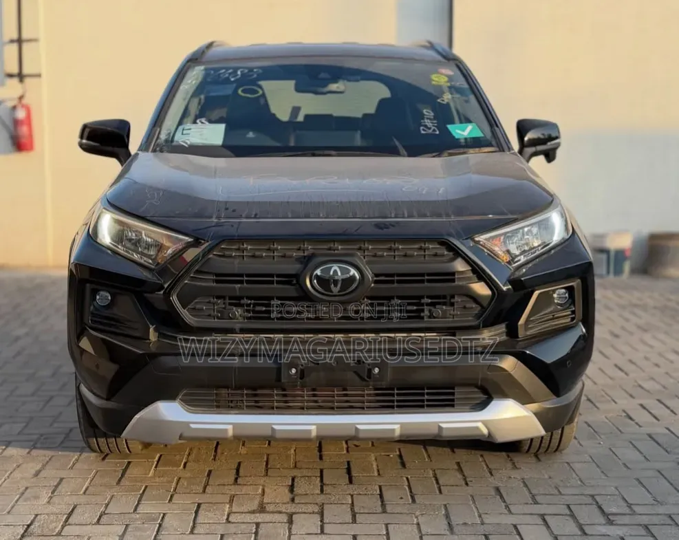 Toyota RAV4 2019 Brown
