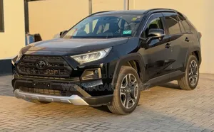 Toyota RAV4 2019 Brown