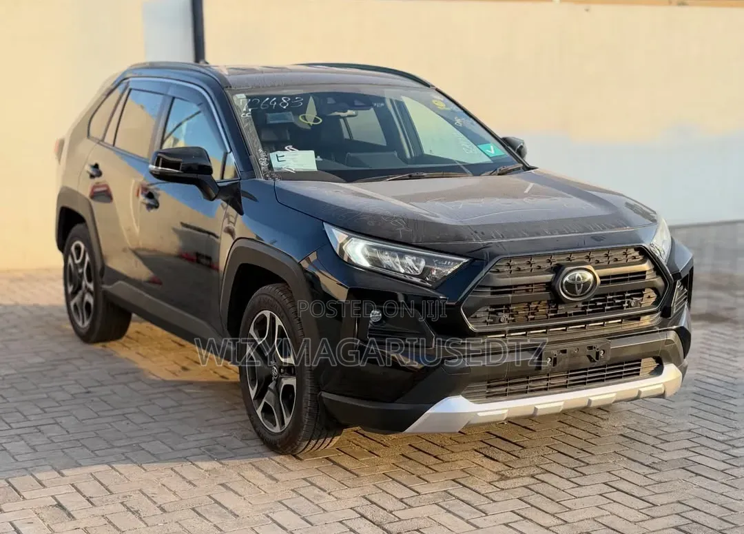 Toyota RAV4 2019 Brown