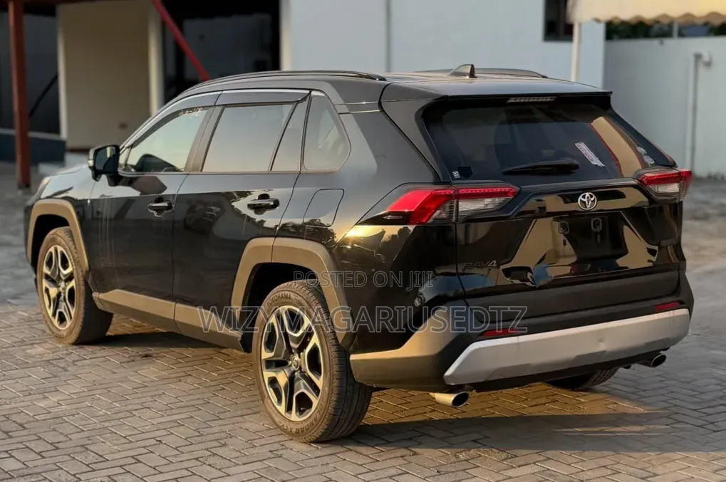 Toyota RAV4 2019 Brown