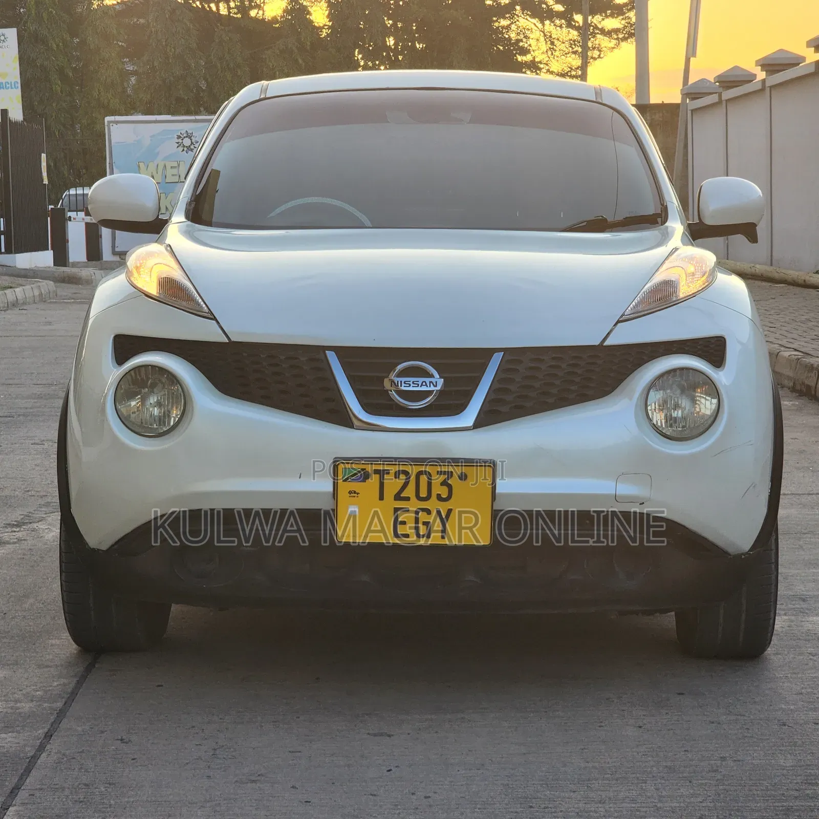 Nissan Juke 2011 White
