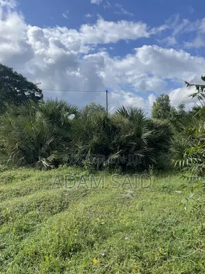 625 SQM Plot Kigamboni for Sale