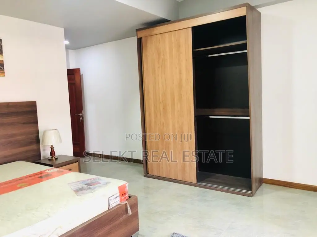 Furnished 4bdrm Duplex in Mikocheni for rent