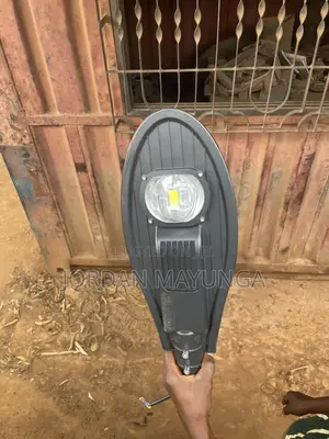 50w Led Light