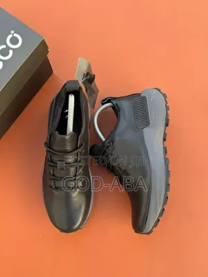 New Stylish Shoes//Ecco the Best Brand 