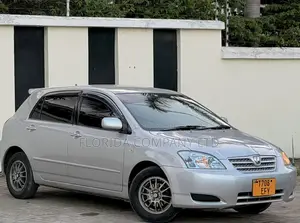 Toyota Allex 2005 Silver