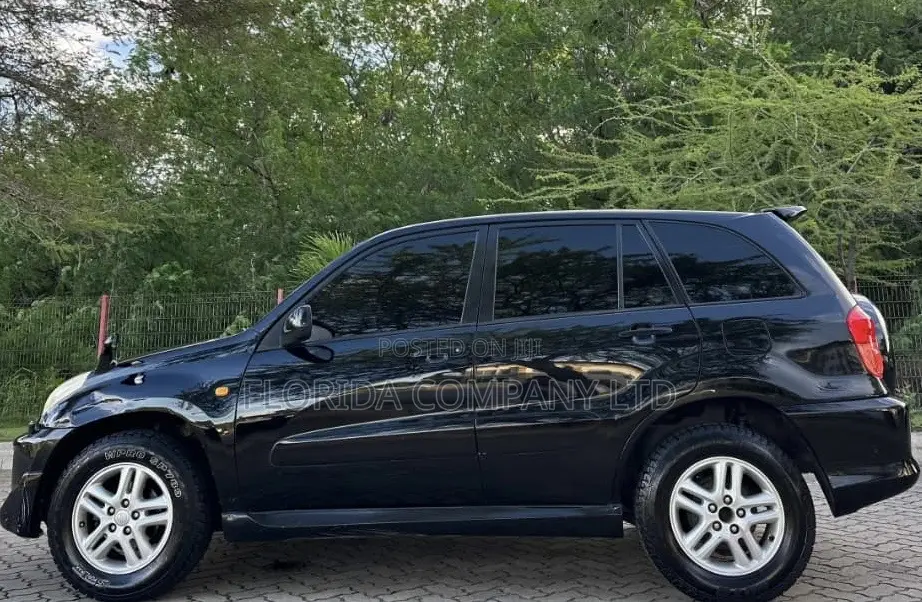 Toyota RAV4 2001 Black