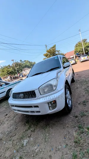 Toyota RAV4 2004 White