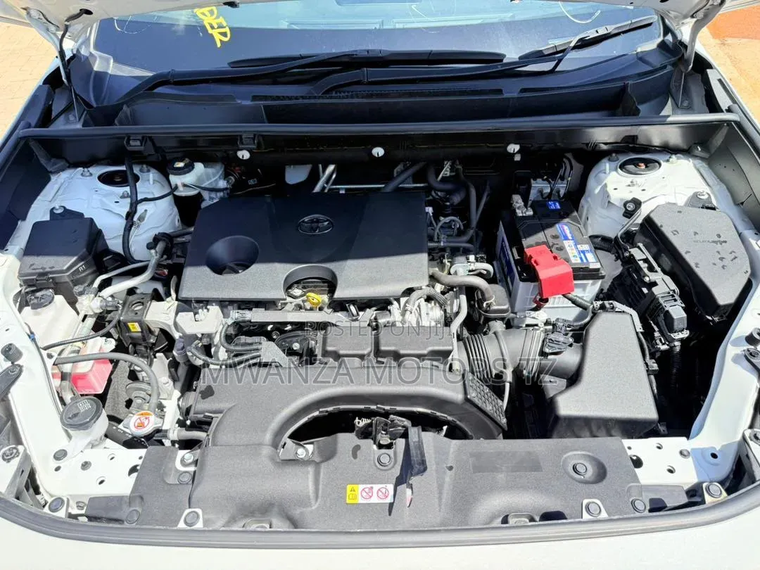 Toyota RAV4 Hybrid 2020 Pearl
