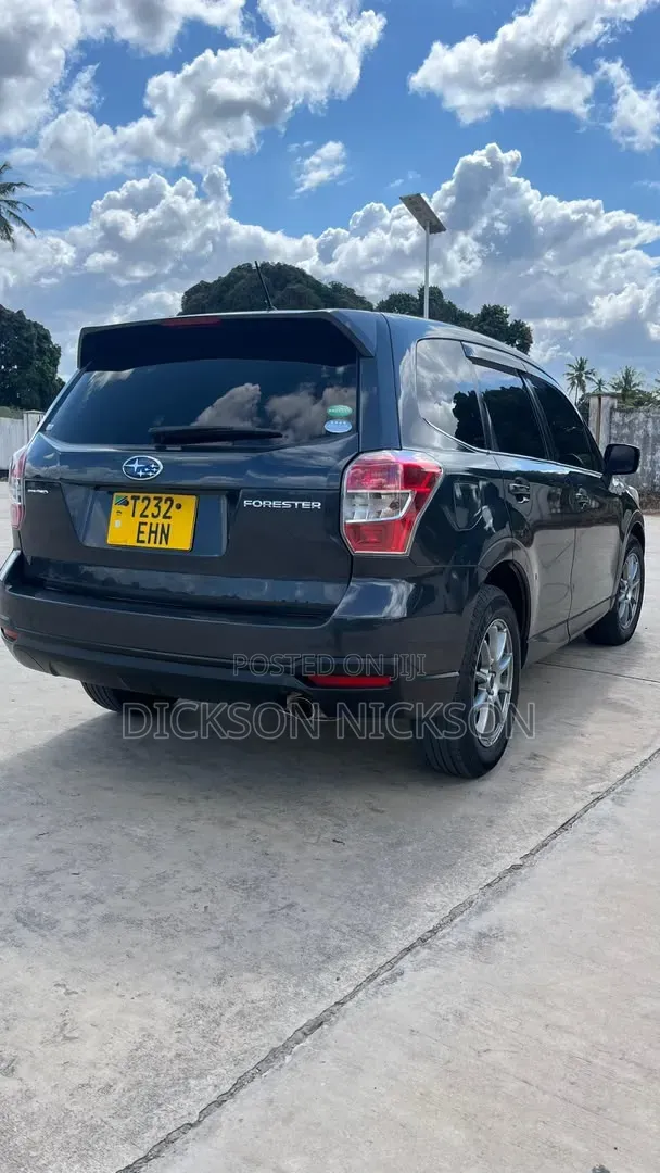 Subaru Forester 2010 Gray