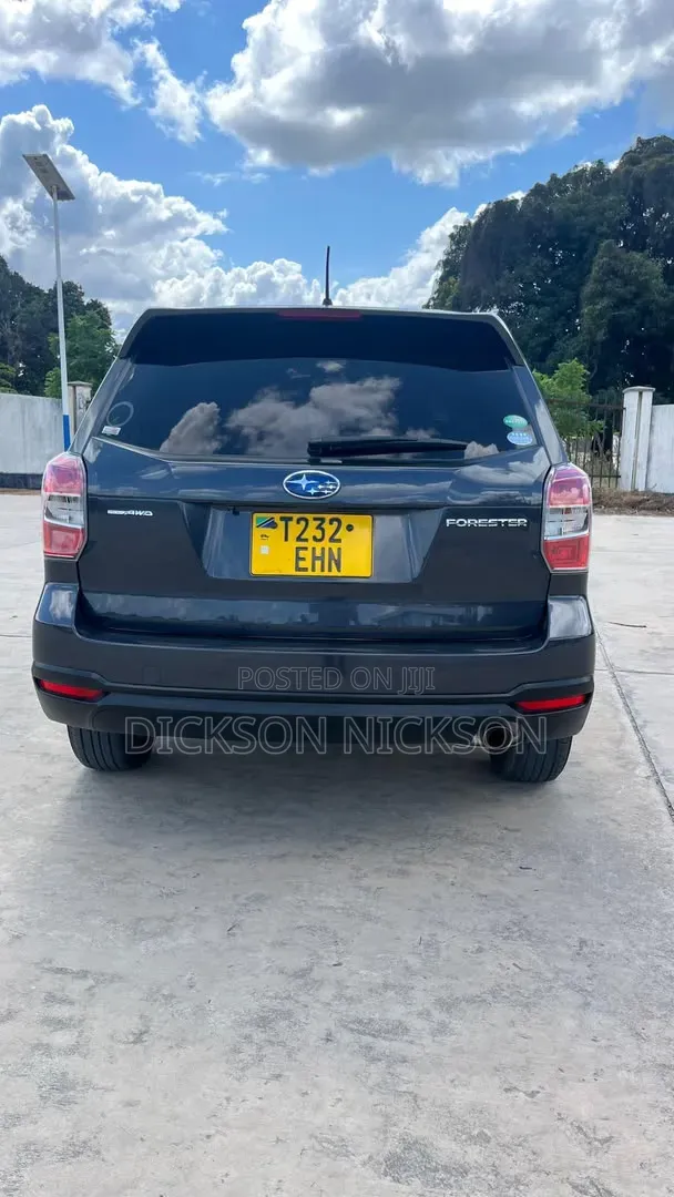 Subaru Forester 2010 Gray