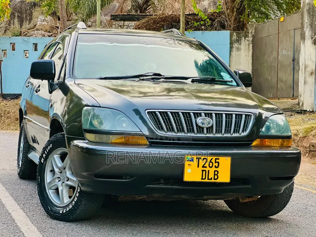 Toyota Harrier 2002 Gray
