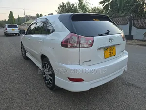 Toyota Harrier 2004 Pearl