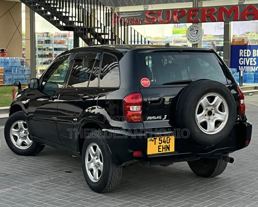 Toyota RAV4 2005 Black