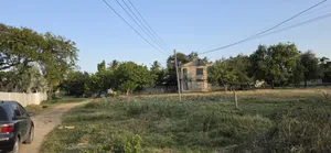 Kiwanja Chenye Pagale Bahari Beach Kinauzwa