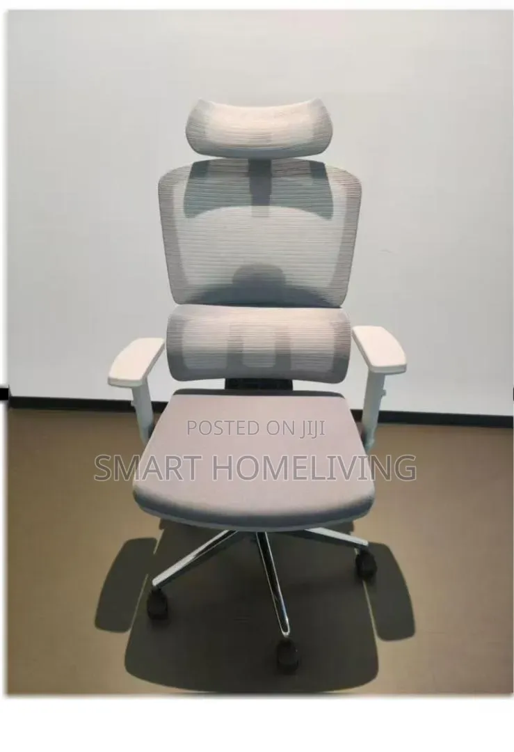 High-Back Ergonomic Mesh Office Chair