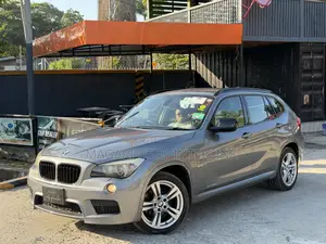 BMW X1 2013 Gray