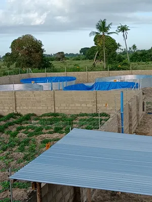 Fish Farm for Sale in Bagamoyo