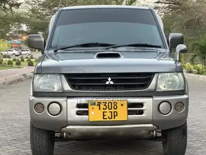 Mitsubishi Pajero 2004 Gray