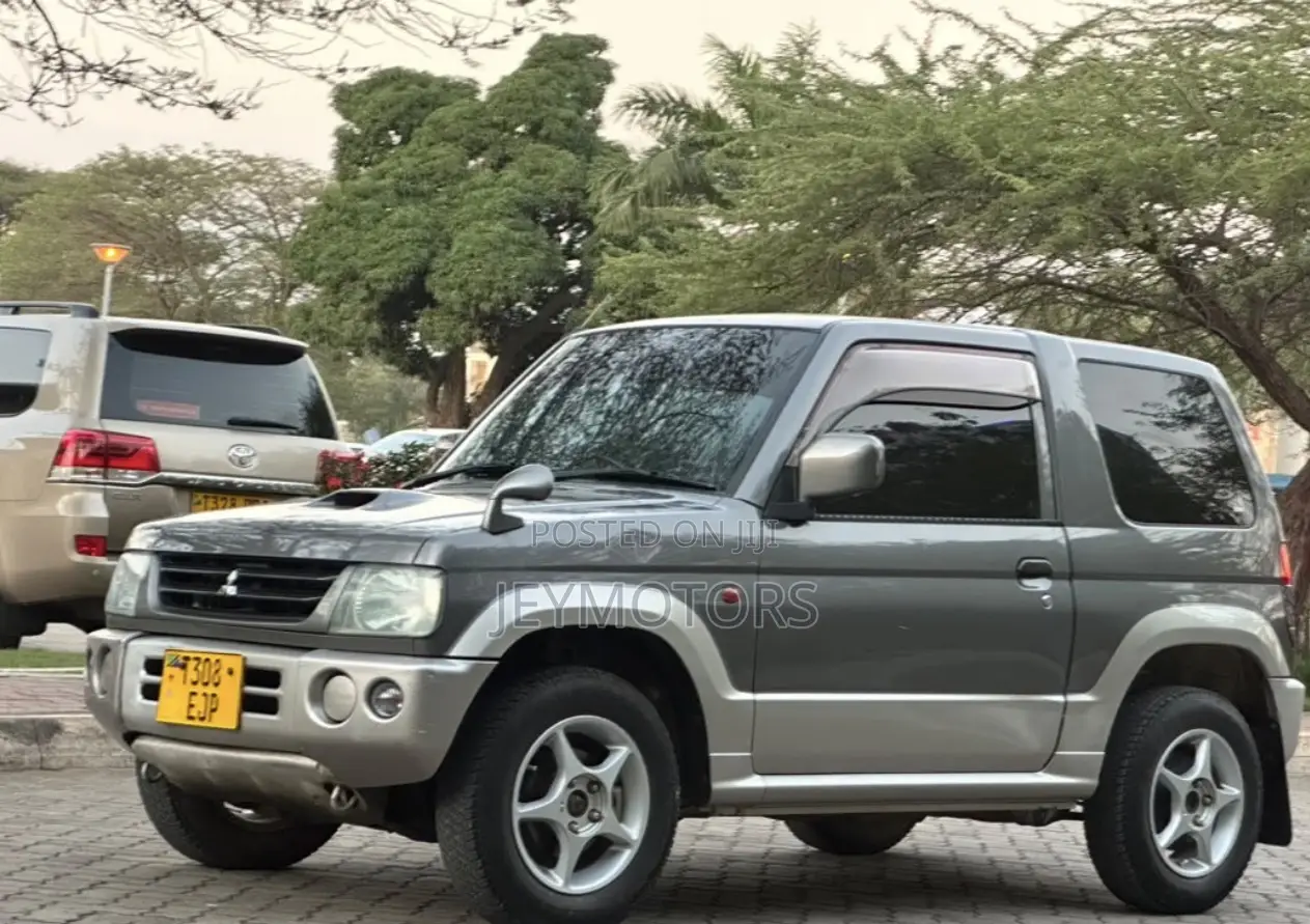 Mitsubishi Pajero 2004 Gray