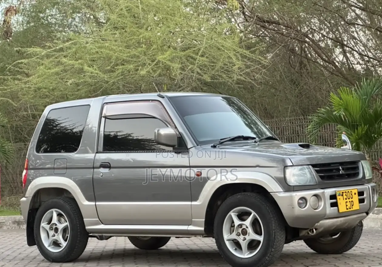 Mitsubishi Pajero 2004 Gray