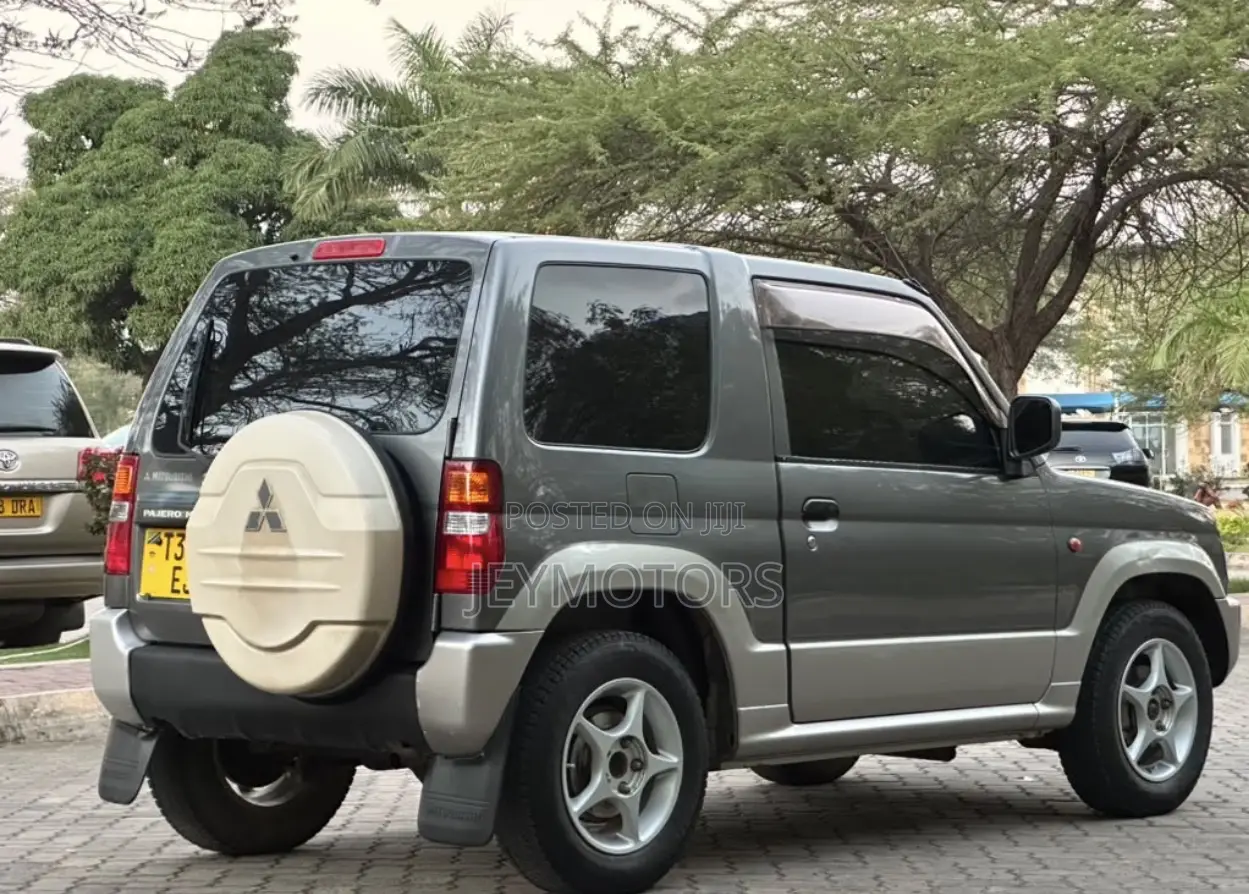 Mitsubishi Pajero 2004 Gray