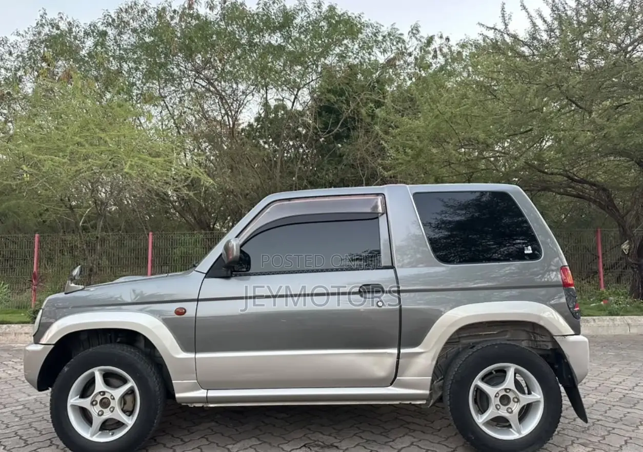 Mitsubishi Pajero 2004 Gray