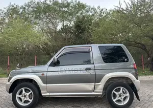 Mitsubishi Pajero 2004 Gray