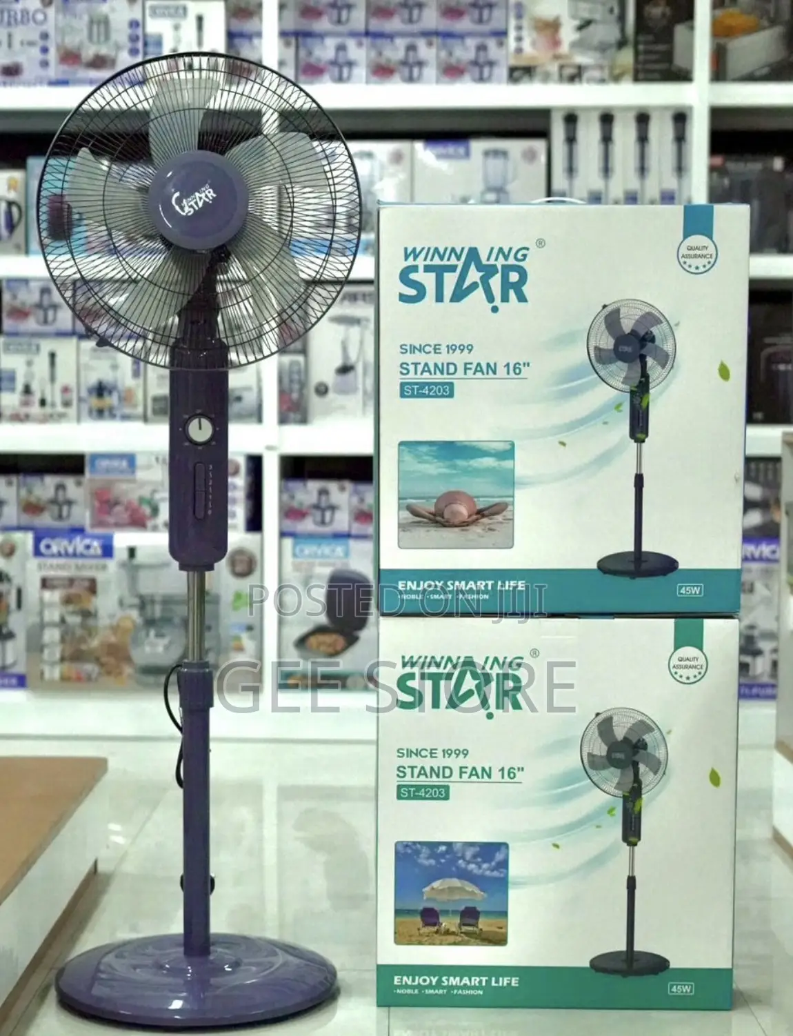 Winning Star Electric Floor Fan St-4203