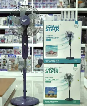 Winning Star Electric Floor Fan St-4203