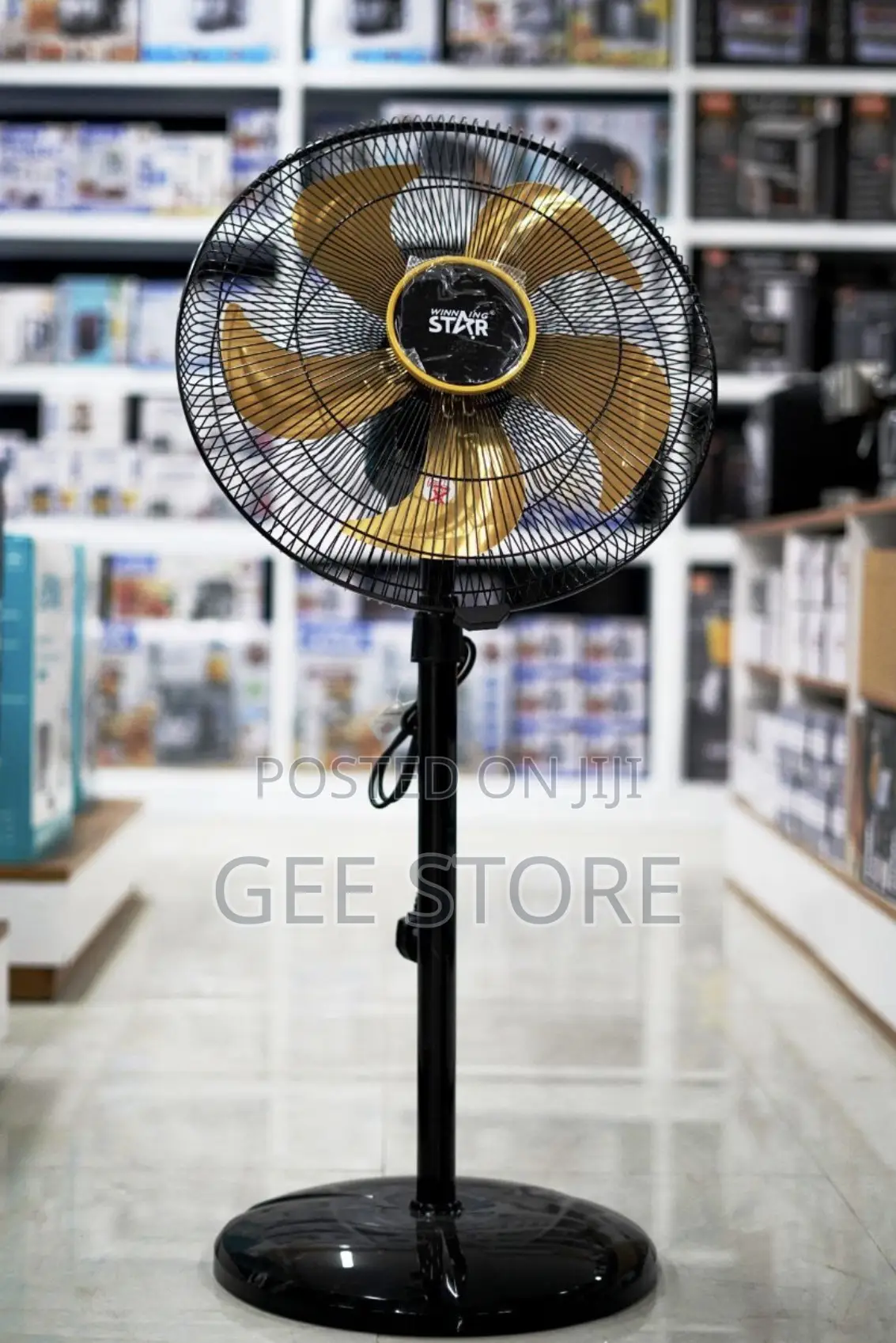 Winning Star Electric Floor Fan (Breez Modes)