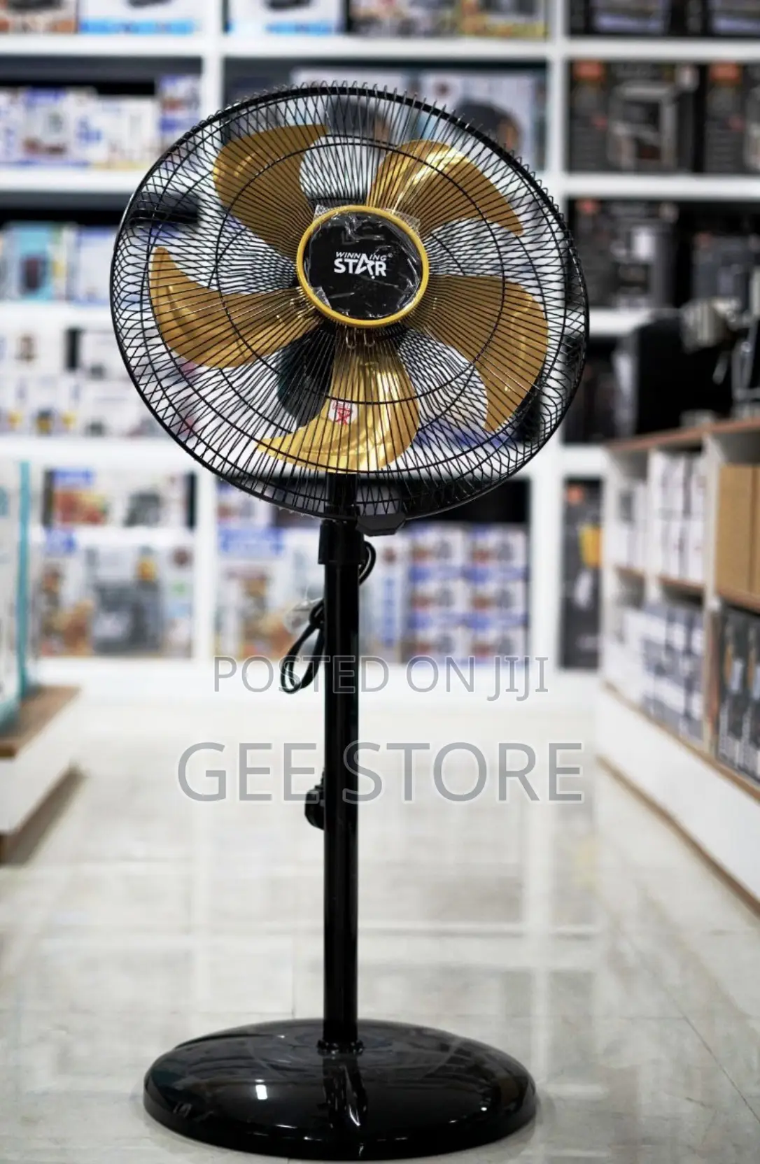 Winning Star Electric Floor Fan (Breez Modes)