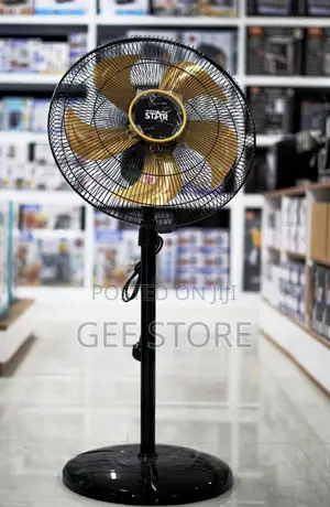 Winning Star Electric Floor Fan (Breez Modes)