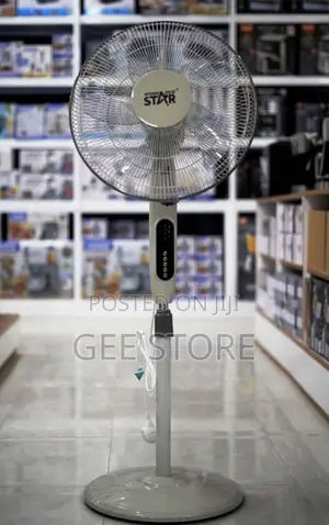 Standing Fan 55watts (Timer and Mode Breez)