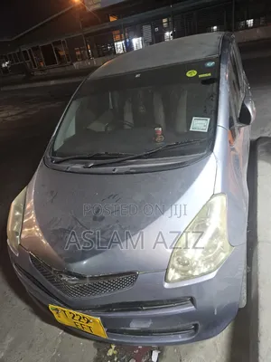 Toyota Ractis 2008 Gray