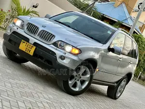 BMW X5 3.0d 2006 Silver