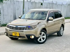 Subaru Forester 2009 Gray
